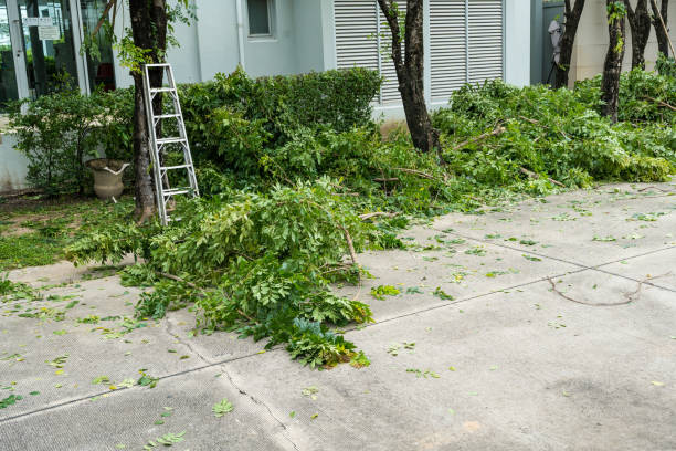 Best Hazardous Tree Removal  in Boulevard Gardens, FL